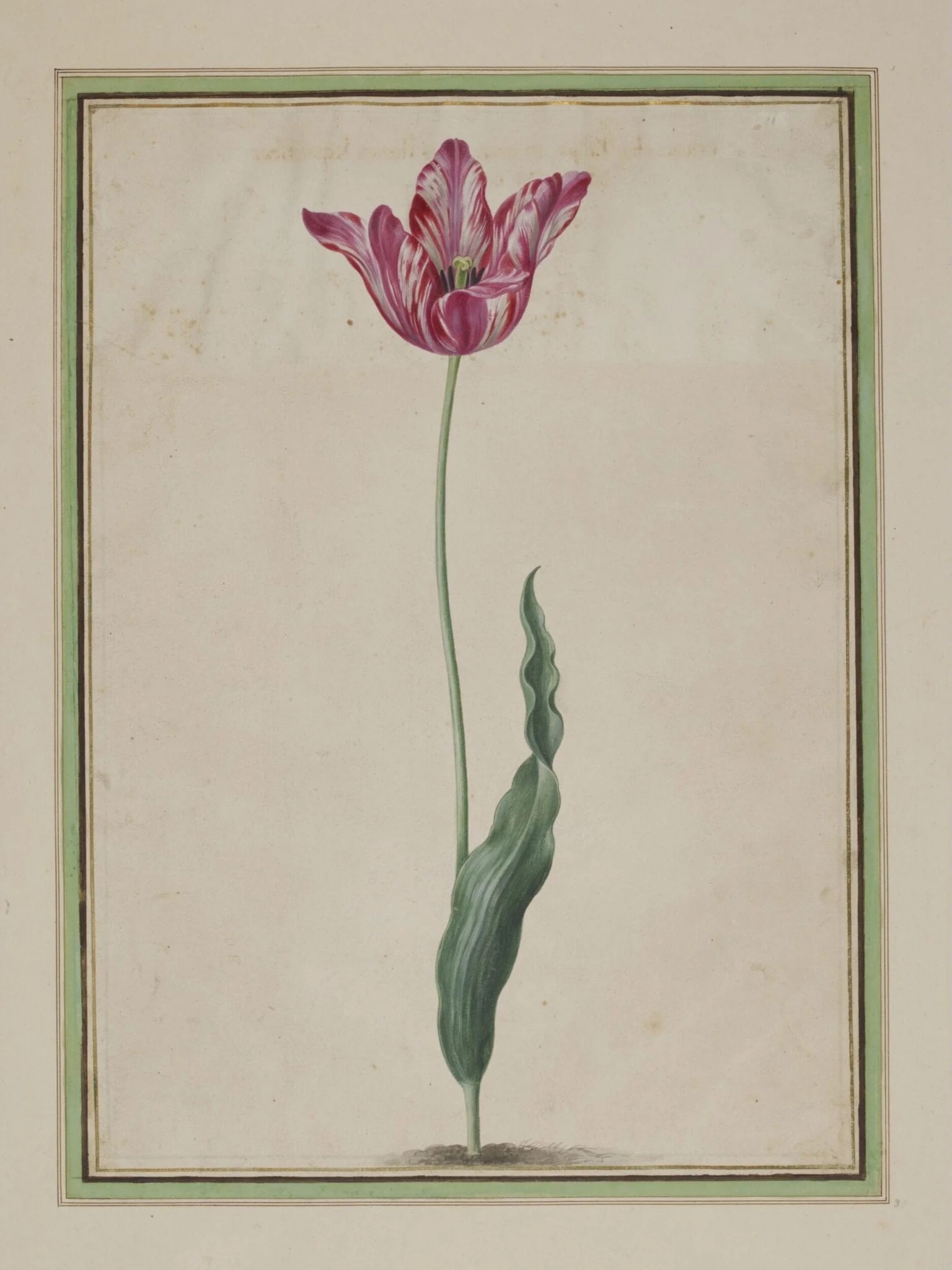 Simulacrum Scenographicum Celeberrimi Horti Itzsteinensis, detail
