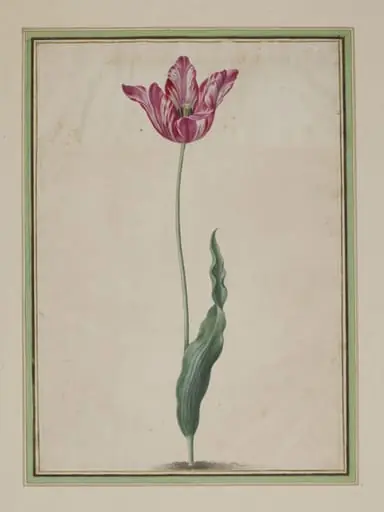 Simulacrum Scenographicum Celeberrimi Horti Itzsteinensis, by Johann Jakob Walther, watercolor, 1663