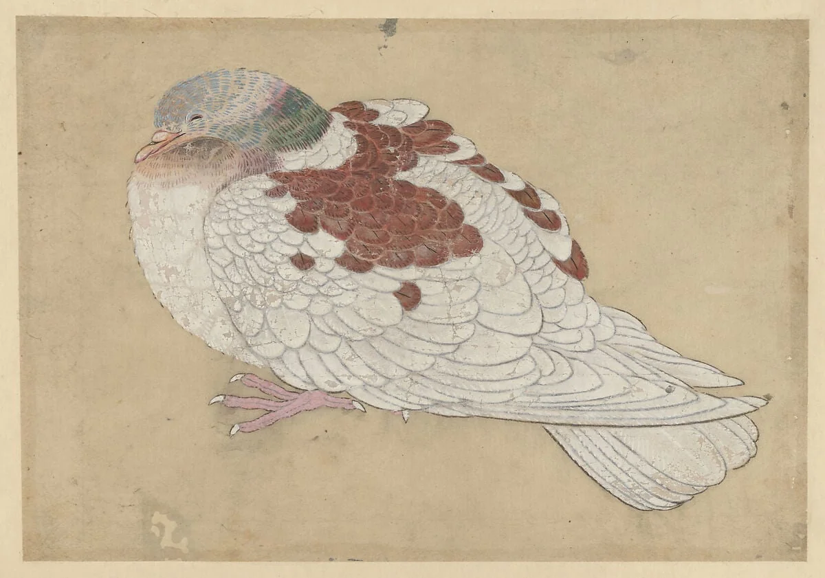 Untitled, detail
