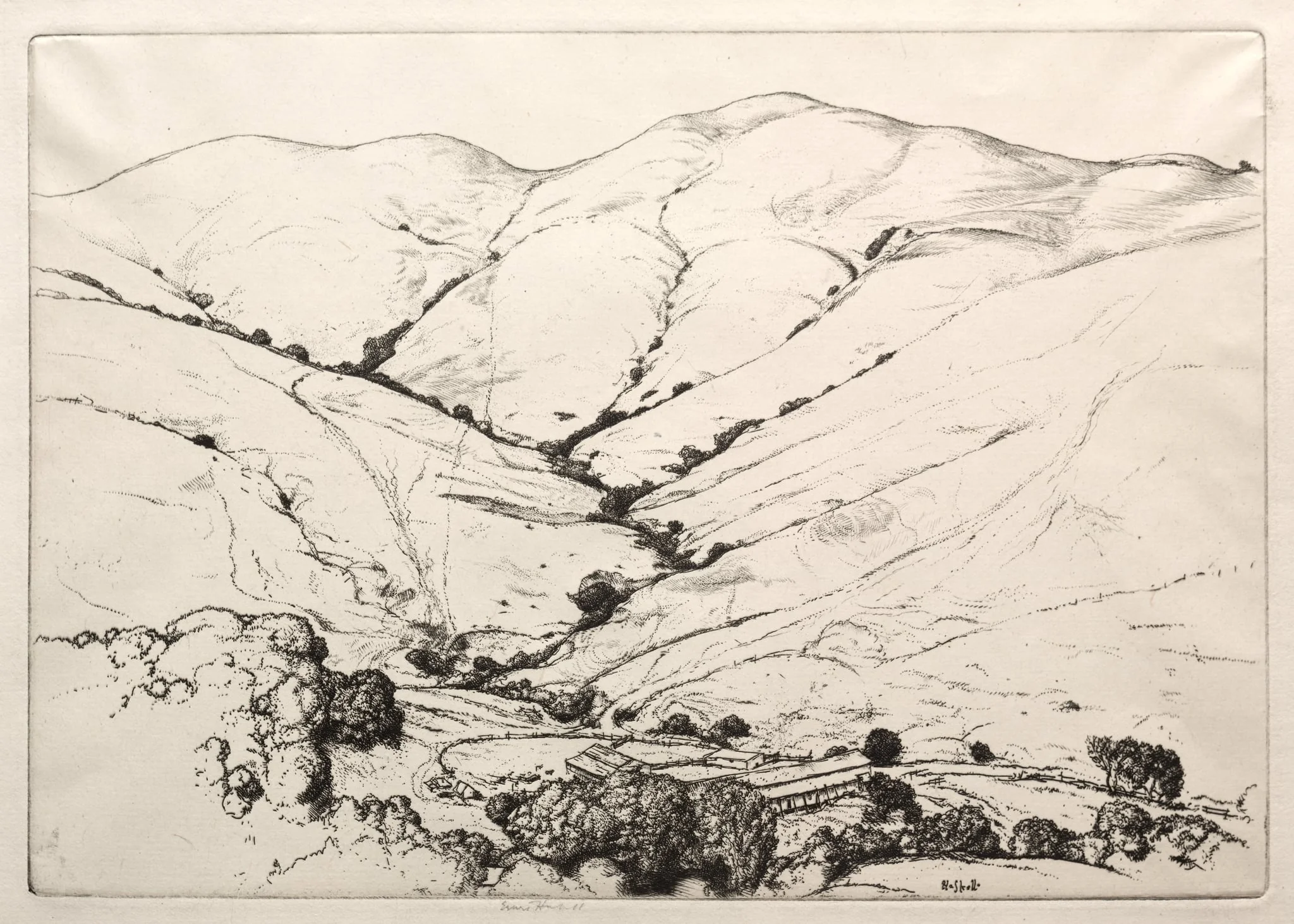 Wildcat Canyon, detail