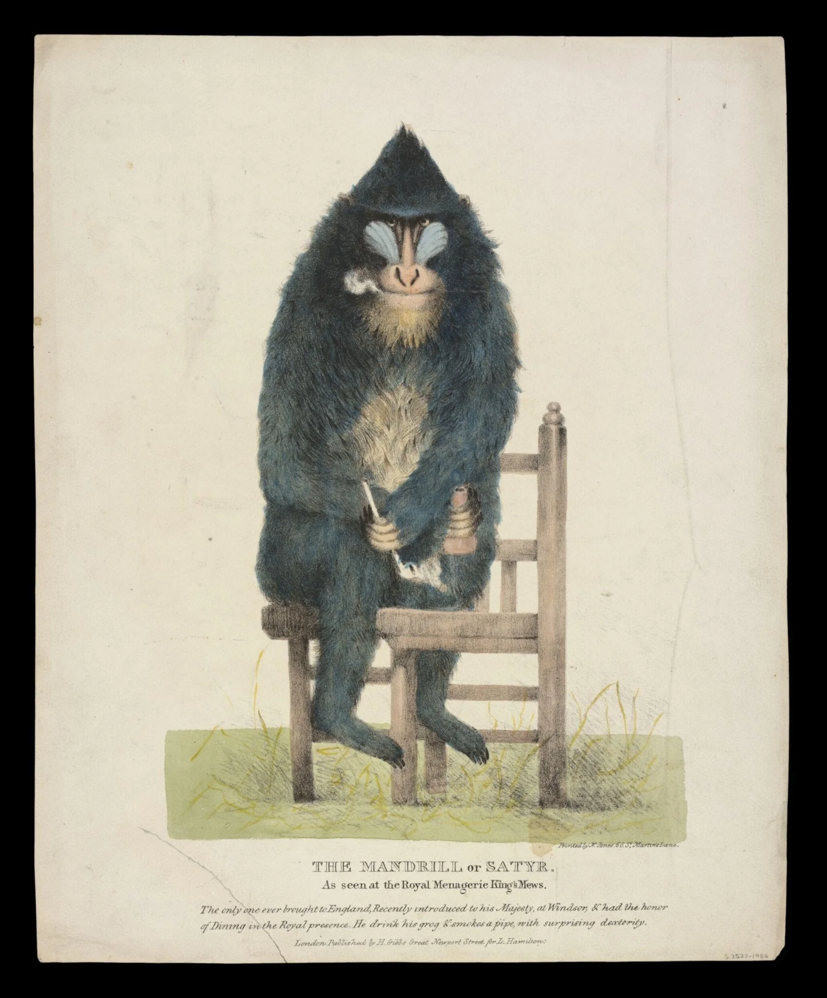 Print Collection, detail
