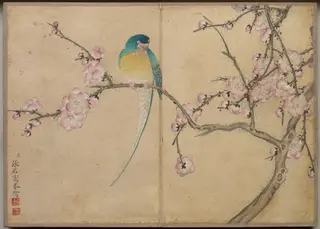 Desk Album: Flower and Bird Paintings (Bird with Plum Blossoms), by Zhang Ruoai, unspecified