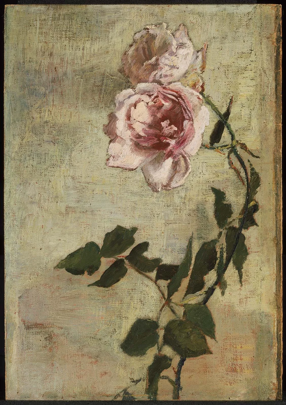 Roses, detail