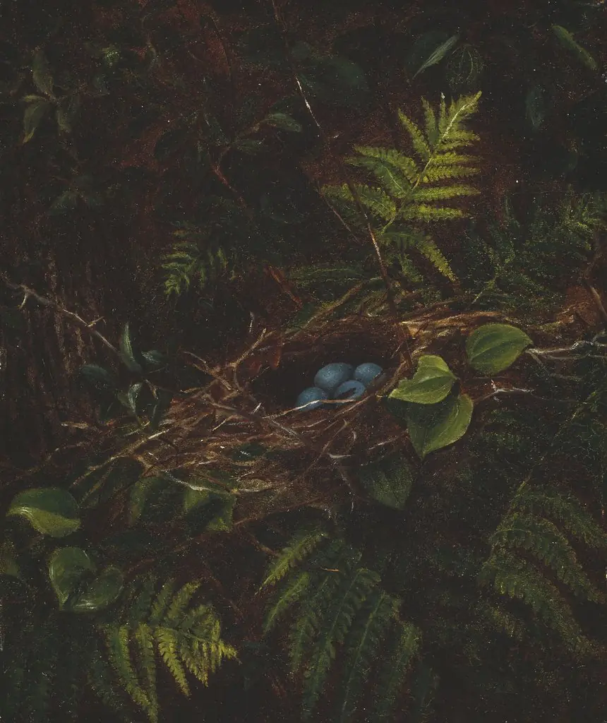 Bird's Nest and Ferns, by Fidelia Bridges, unspecified, 1863