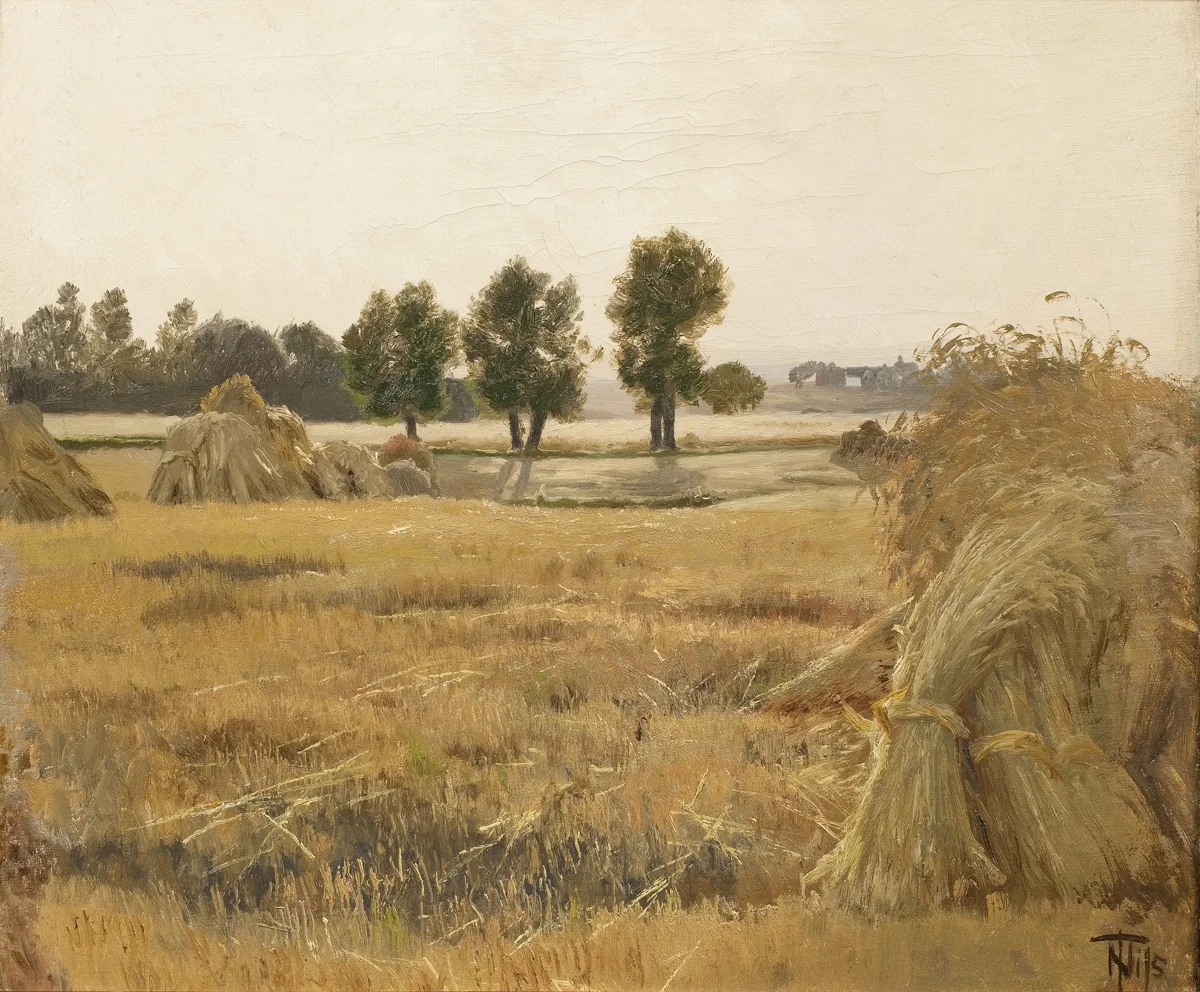 Mark med korntraver, detail