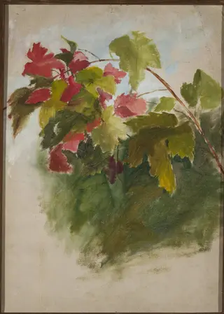 Vine leaves, by Jan Ciągliński, unspecified, 1895