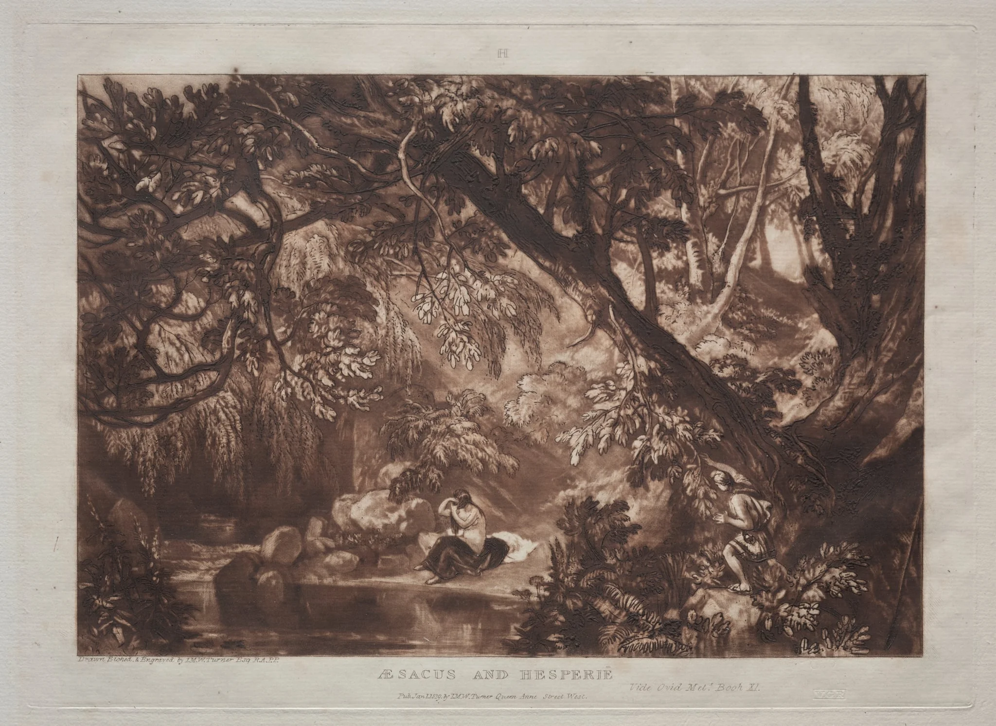 Liber Studiorum: Aesacus and Hesperie, detail