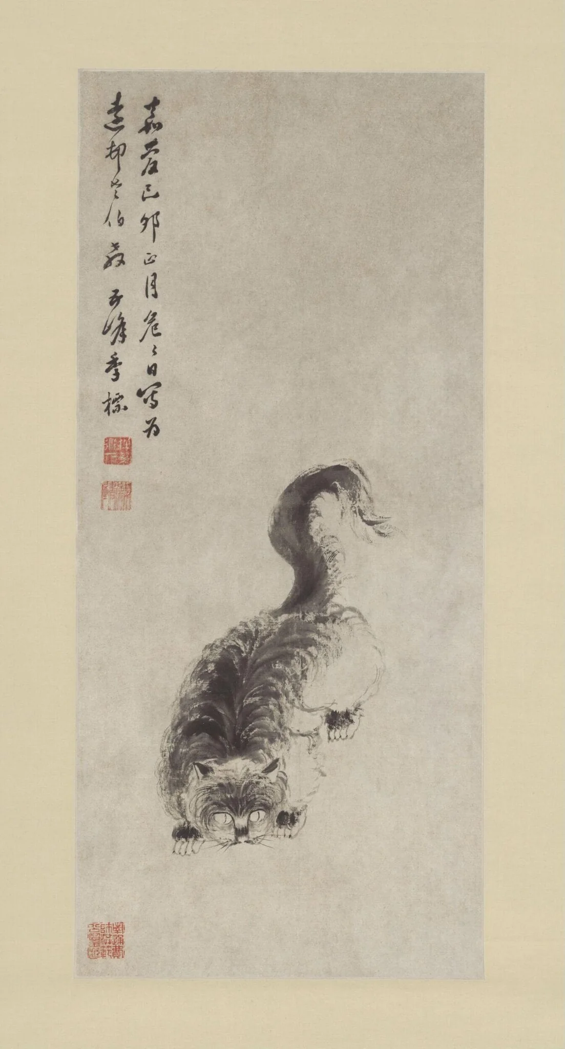 Cat, detail