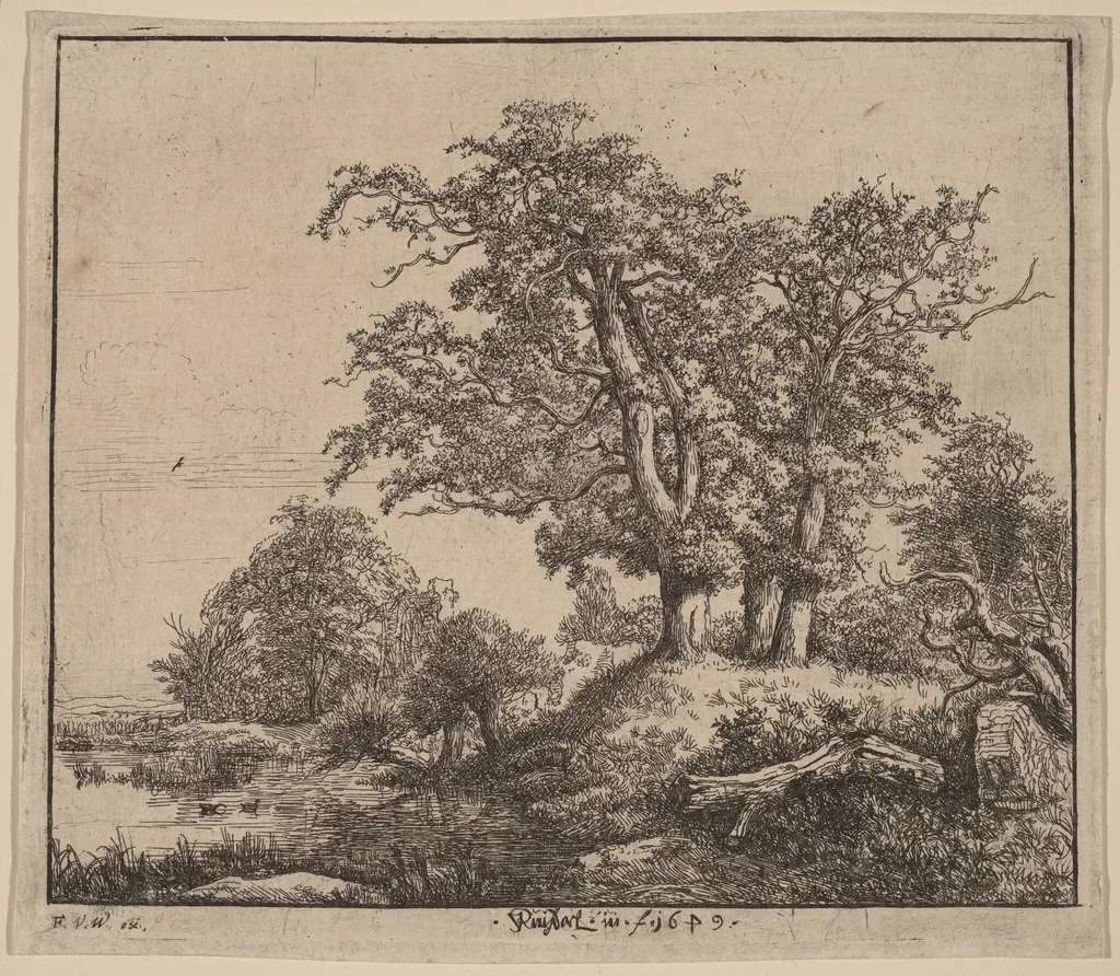 The Three Oaks, by Jacob van Ruisdael, ink, 1649