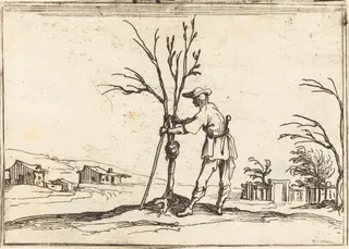 Gardener Pruning a Tree, by Jacques Callot, ink, 1628