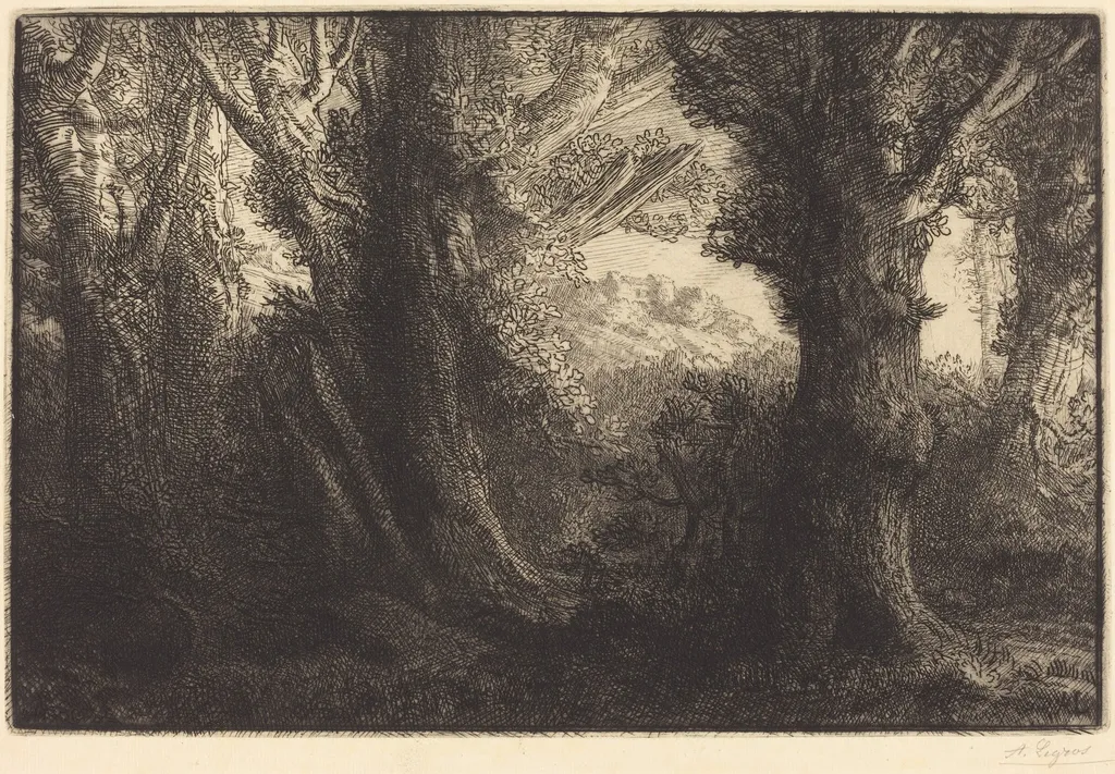 In the Forest of Conteville  (Dans la foret de Conteville), by Alphonse Legros, ink, 1874