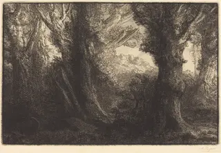 In the Forest of Conteville  (Dans la foret de Conteville), by Alphonse Legros, ink, 1874