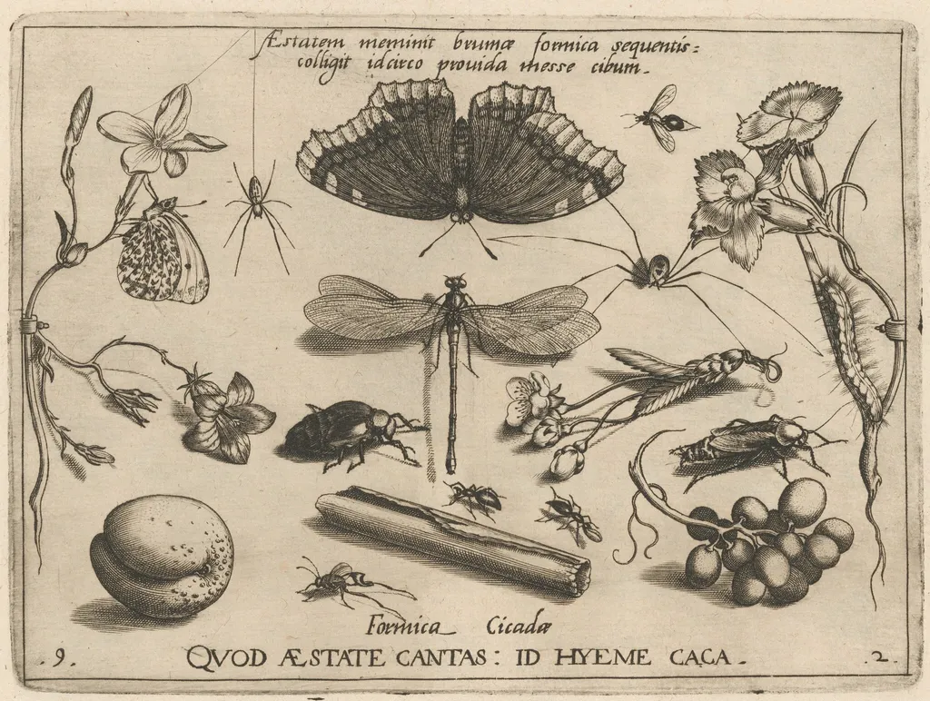 Archetypa studiaque patris Georgii Hoefnagelii [Part 2, Plate 9], by Jacob Hoefnagel, ink, 1592