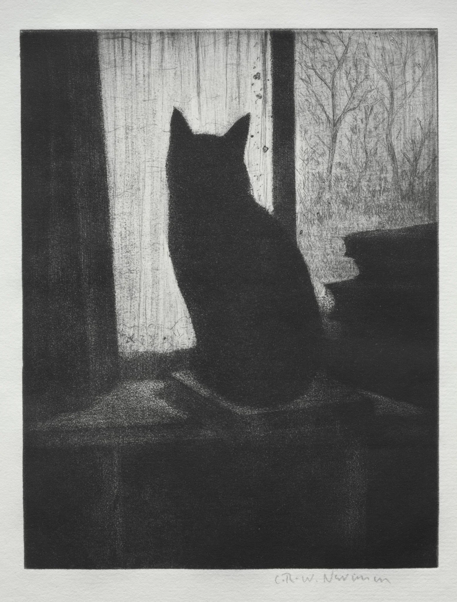 The Cat, detail