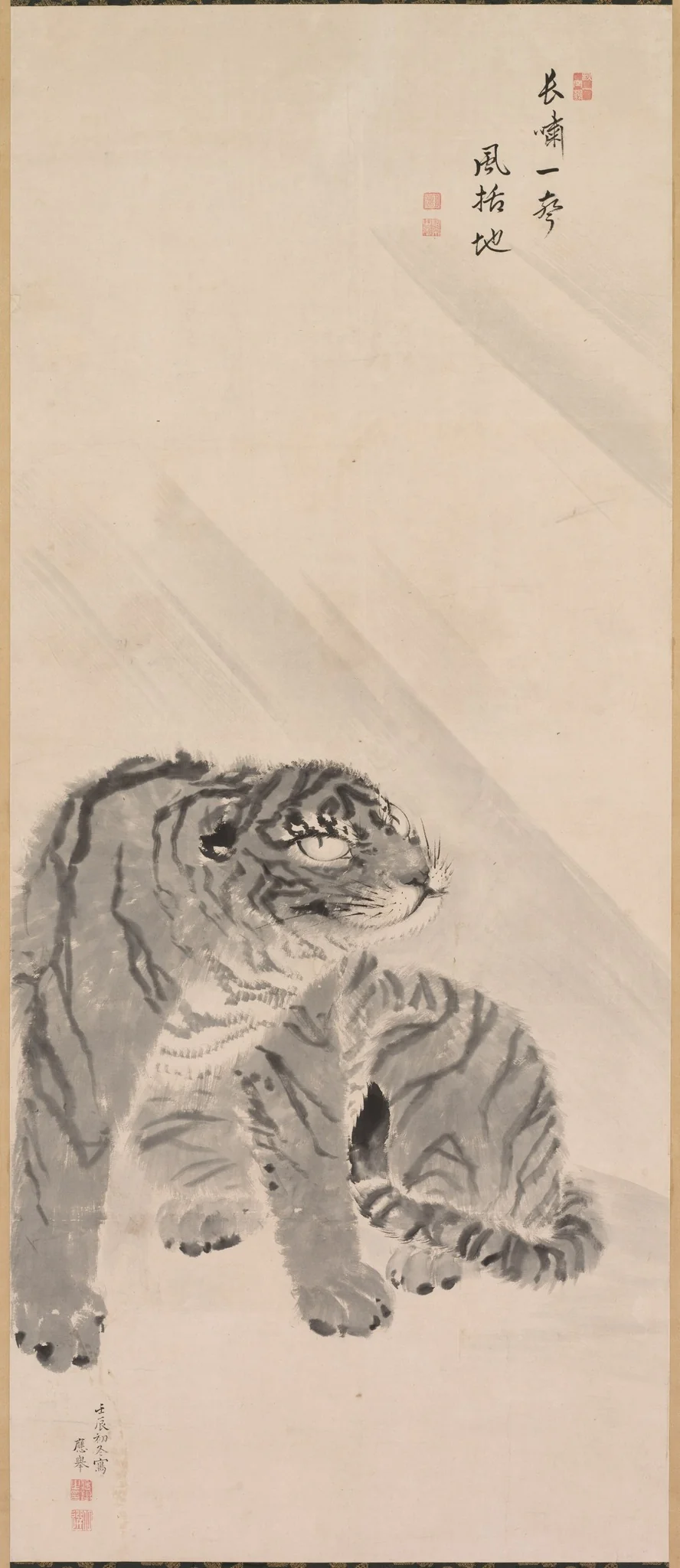 Tiger in Wind, detail
