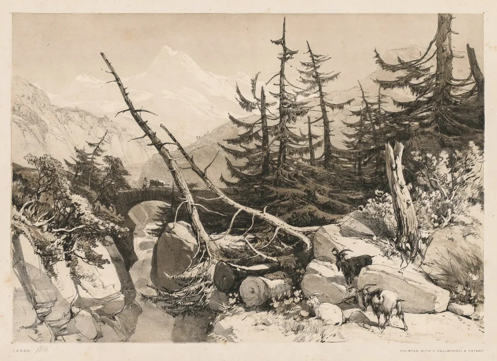 Pine Trees and Bridge, by James Duffield Harding, 1841