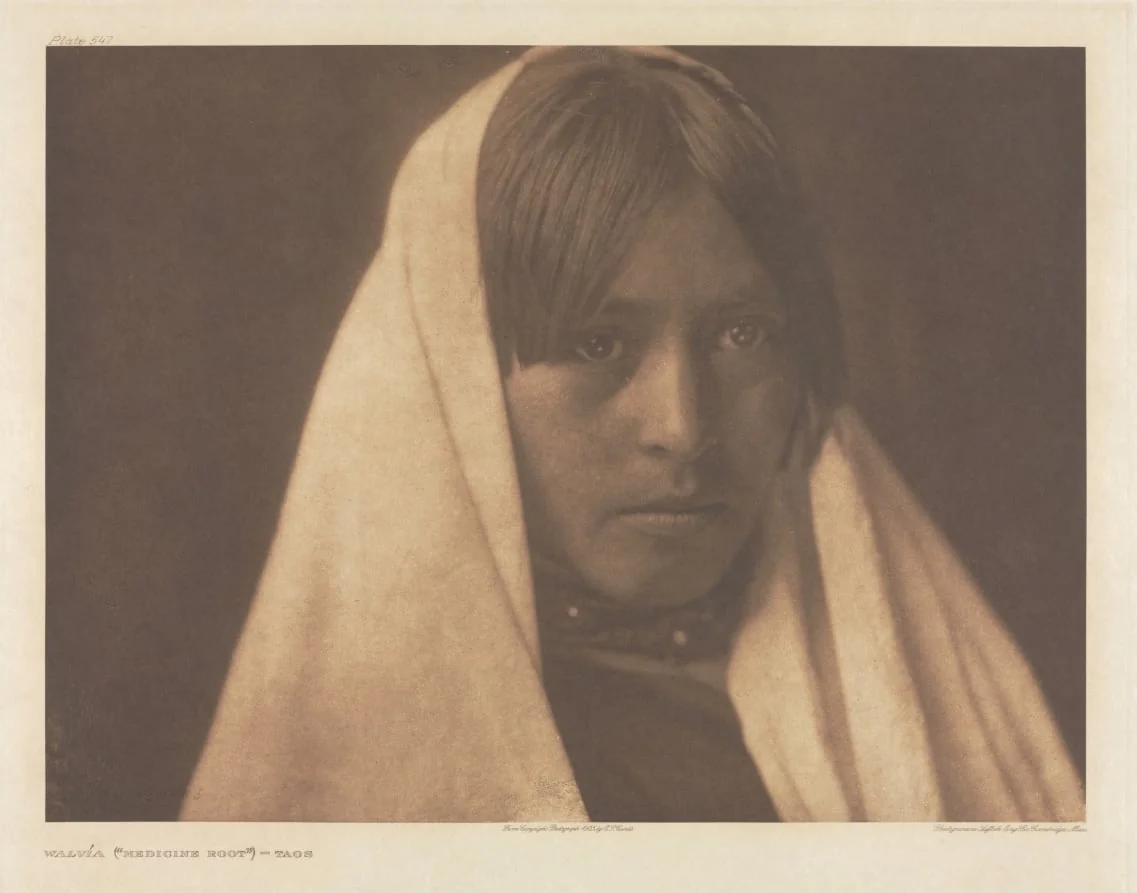 Portfolio XVI, Plate 547: Walvía ("Medicine Root") - Taos, detail