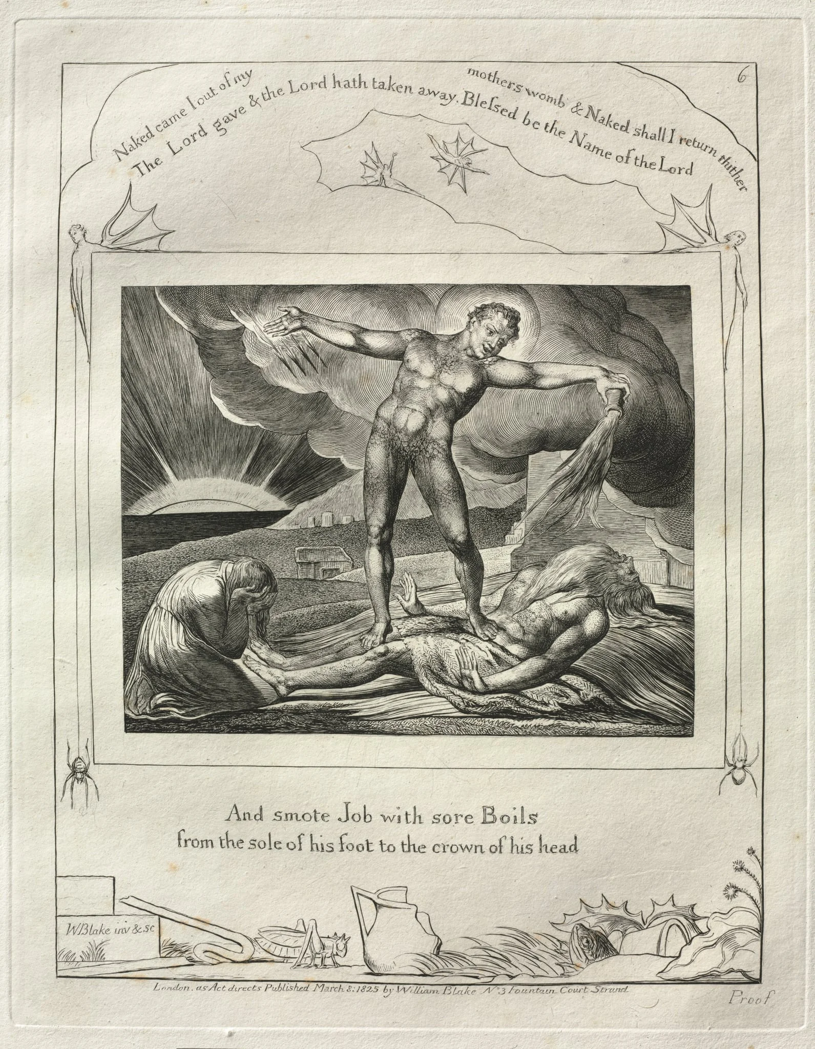 The Book of Job: Pl. 6, And smote Job with sore Boils, detail