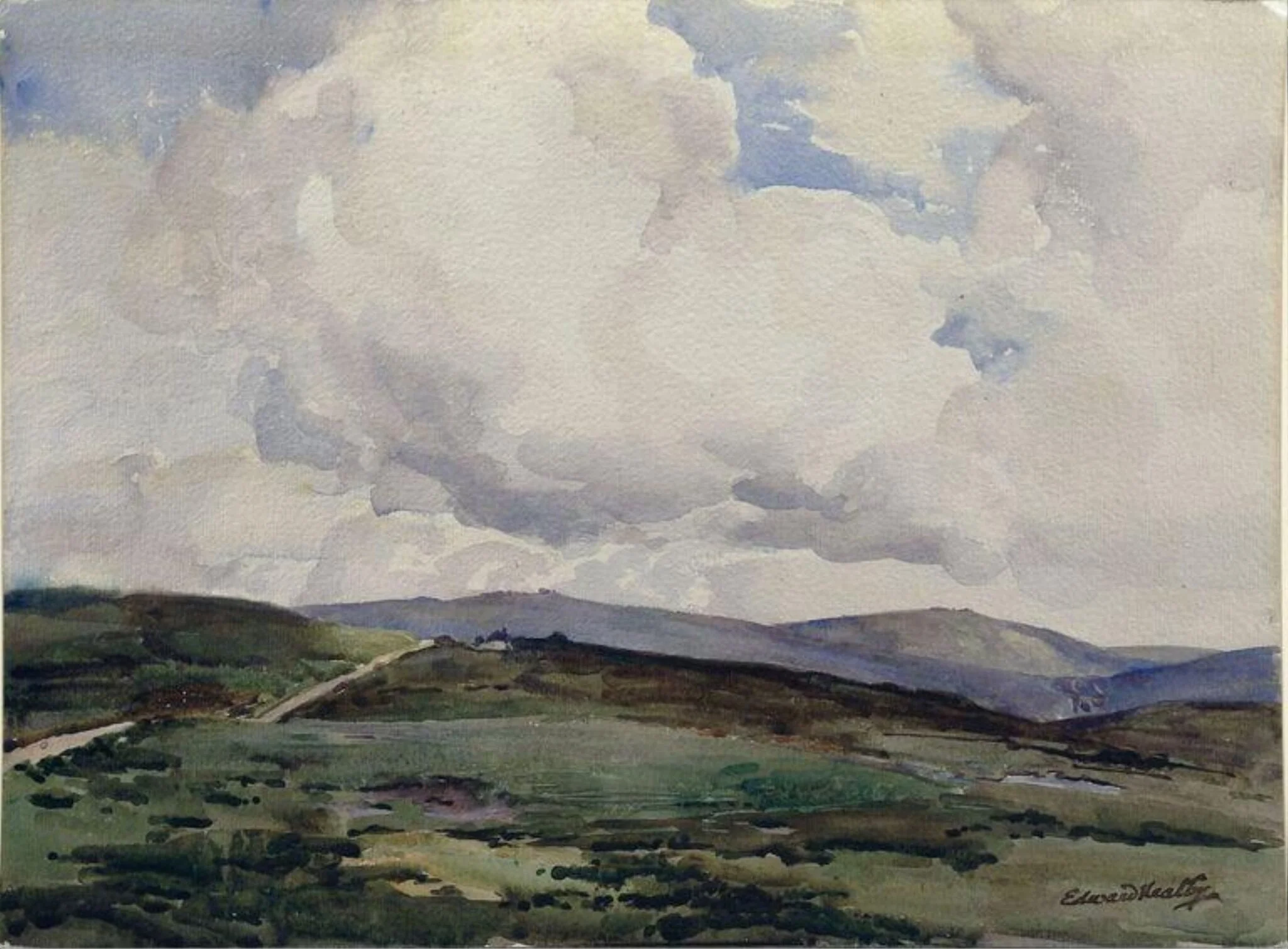 Near Postbridge, Dartmoor, detail