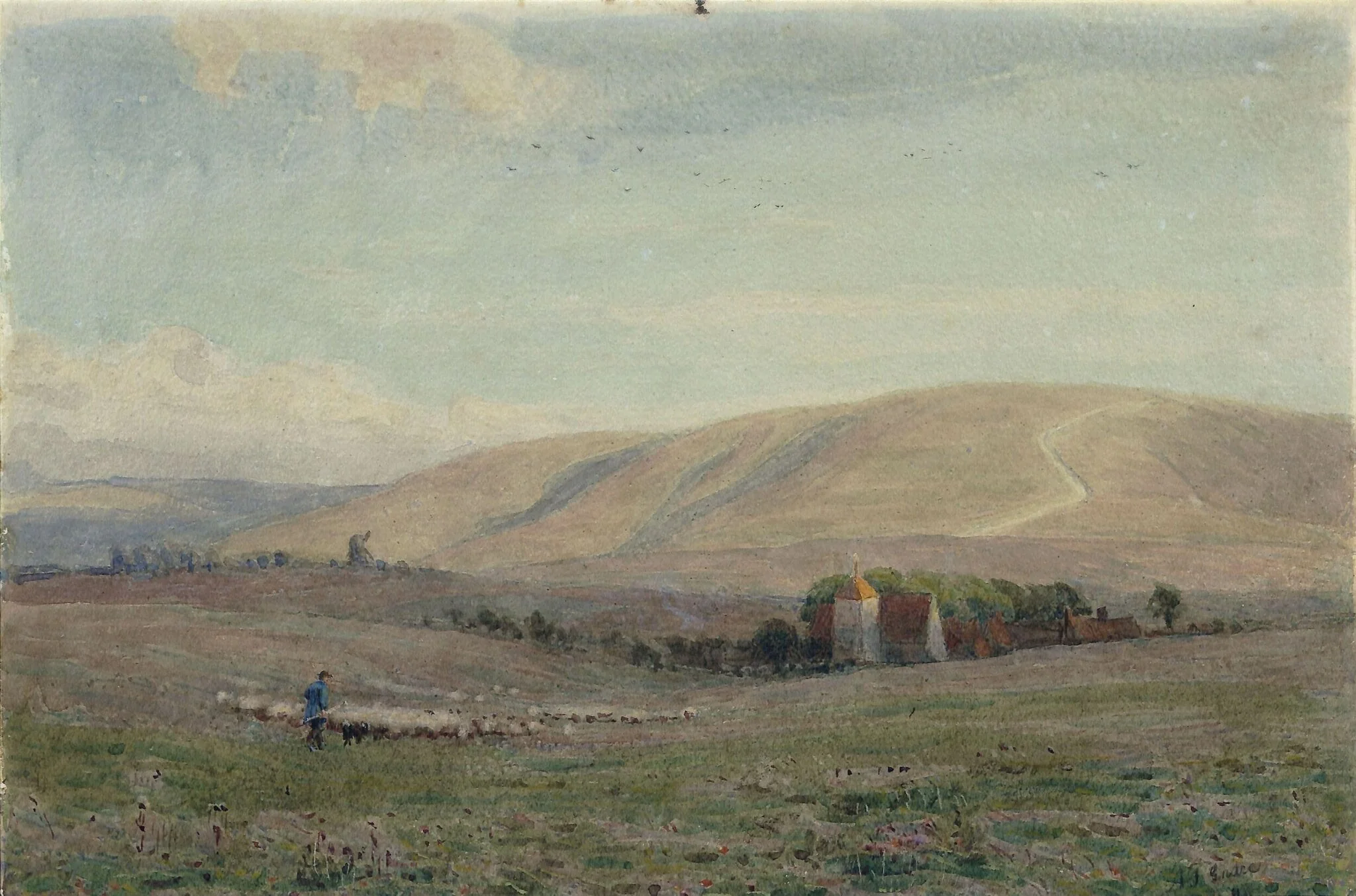 The Downs, near Storrington, Sussex, detail