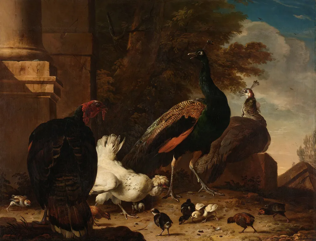 A Hen with Peacocks and a Turkey, by Melchior d' Hondecoeter, oil, 1690