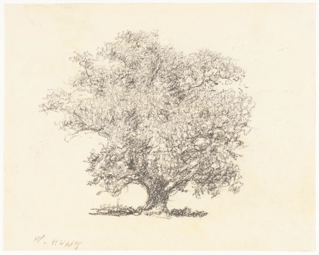 A Tree in Full-Leaf, by William Henry Hunt, graphite, 1827