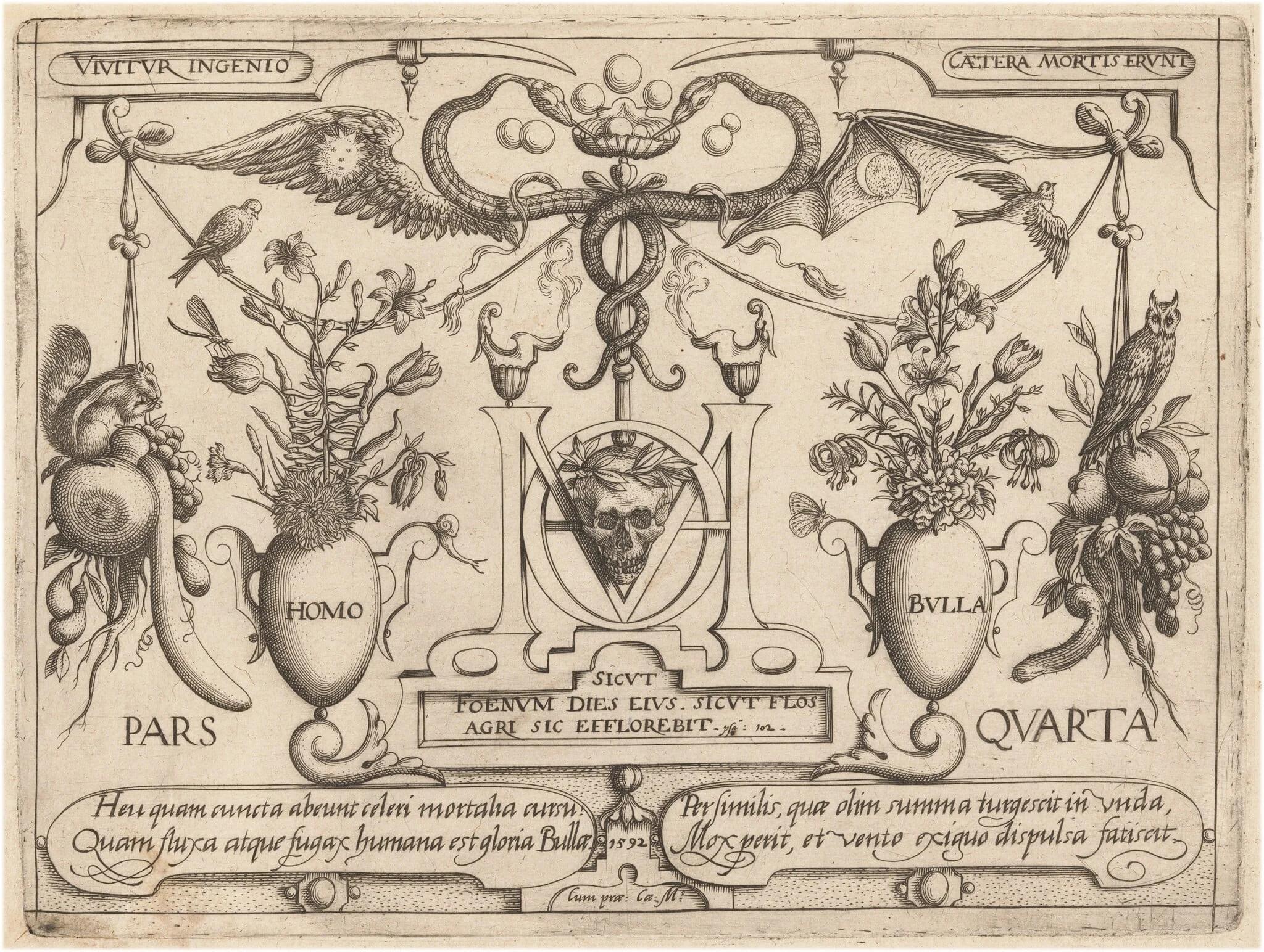 Archetypa studiaque patris Georgii Hoefnagelii [Part 4, Titlepage], detail