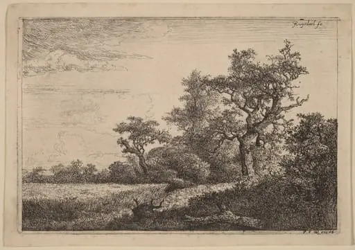 Grain Field at the Edge of a Wood (Corn Field), by Jacob van Ruisdael, ink, 1655