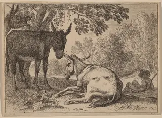 Donkeys, by Herman van Swanevelt, ink, 1628