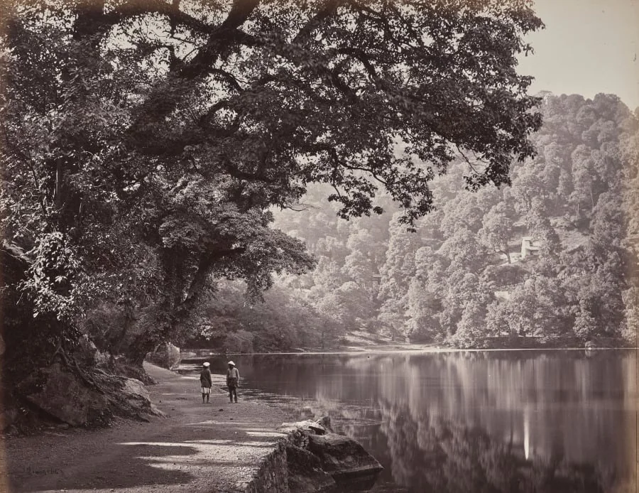 Hyree Lake. South End of the Lake, detail