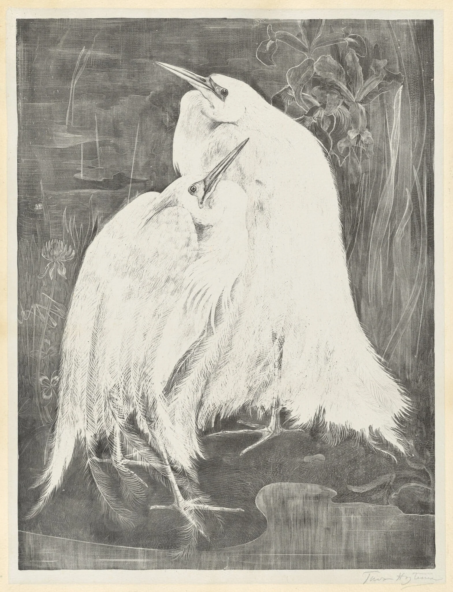 Two White Egrets, detail