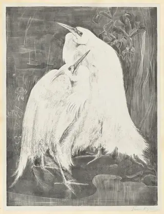 Two White Egrets, by Theodoor van Hoijtema, ink, 1898