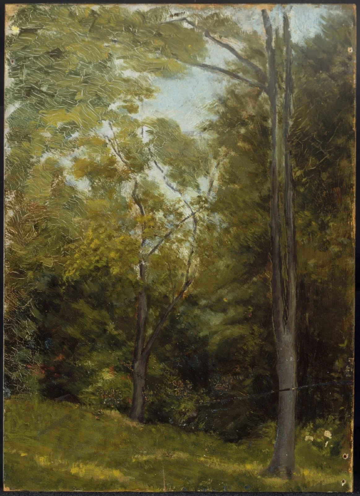 Landscape, detail