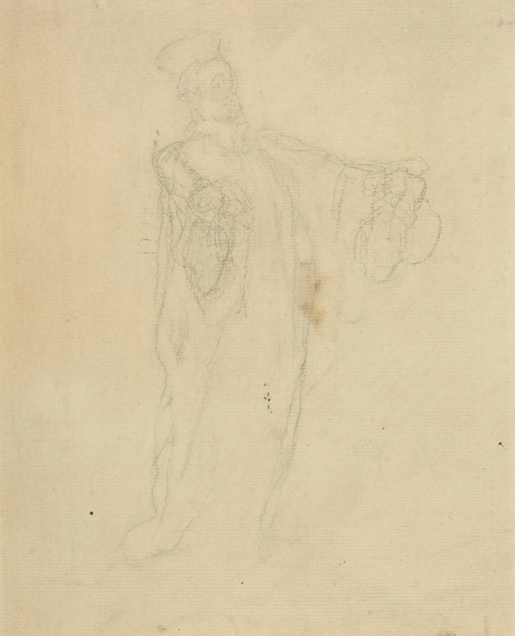 Lawyer, detail
