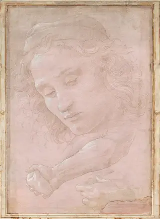 Head of a Youth Wearing a Cap; a Right Forearm with the Hand Clutching a Stone; and a Left Hand Holding a Drapery, by Sandro Botticelli, gouache, 1482