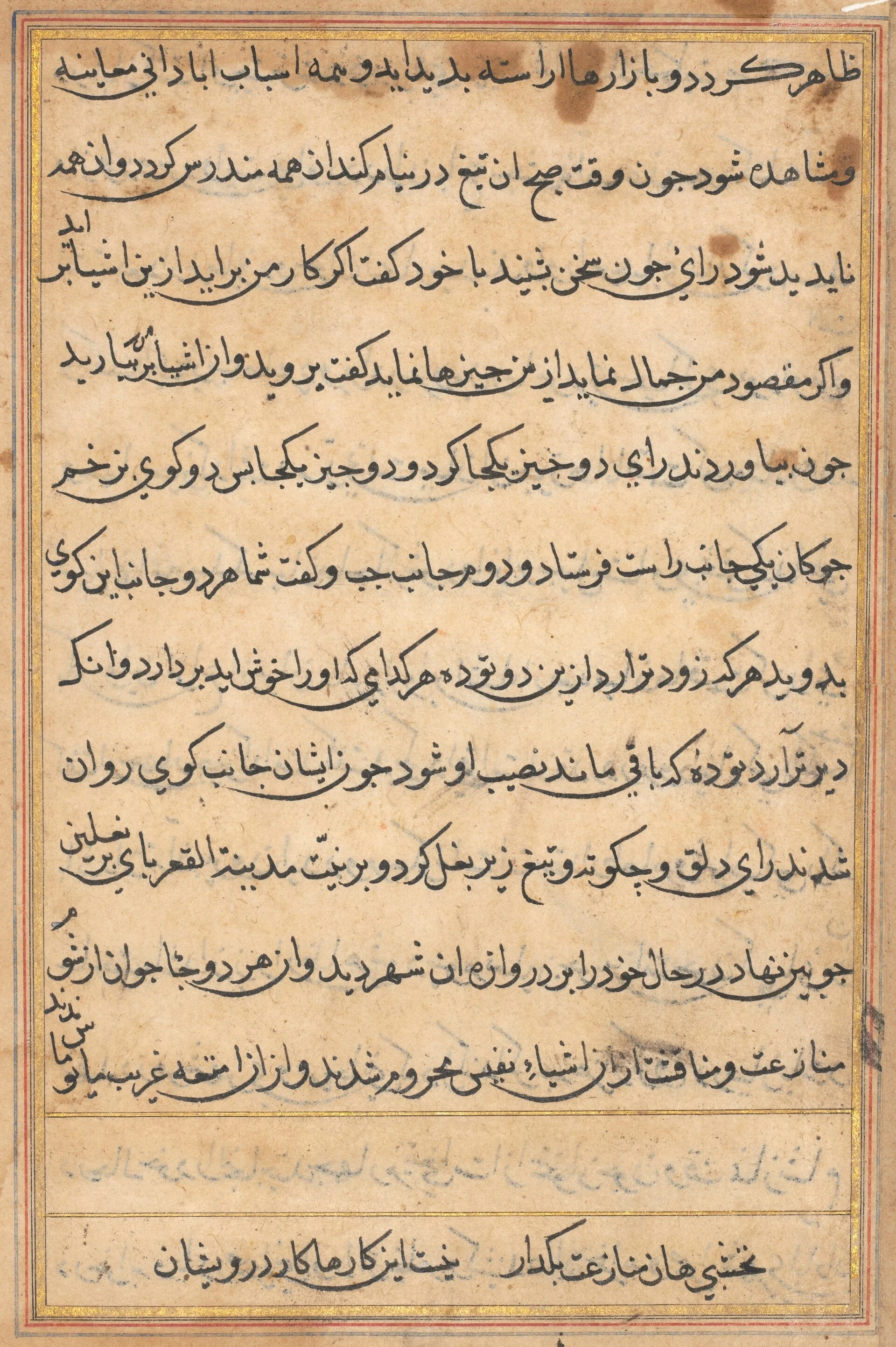 Page from Tales of a Parrot (Tuti-nama): text page, detail