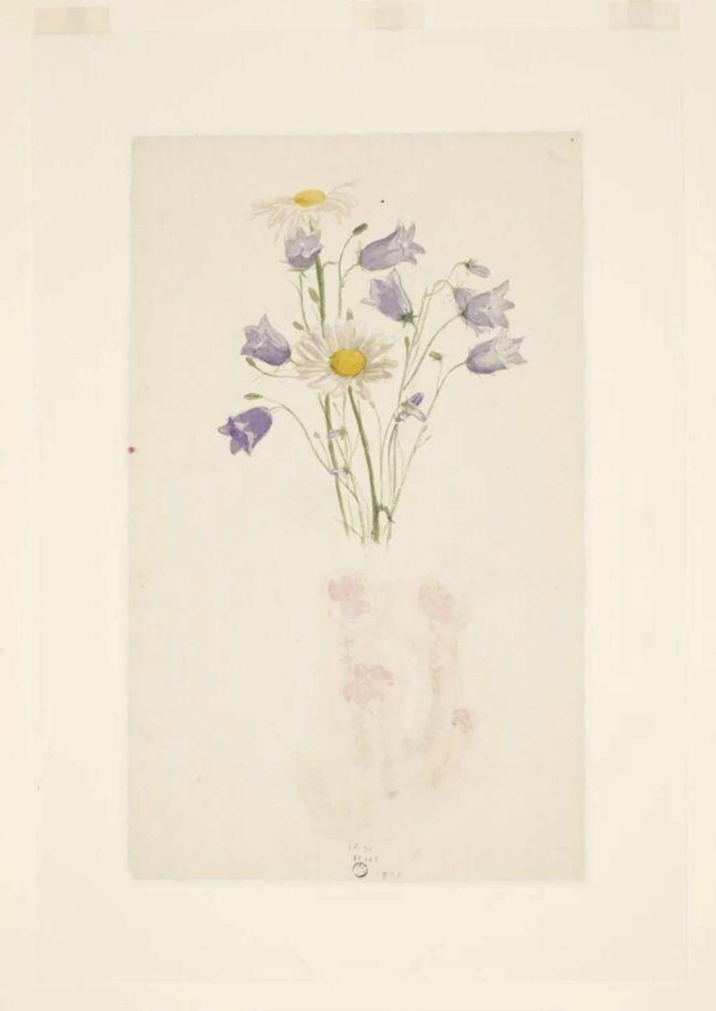 Study of harebells and marguerites, detail
