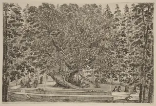 The Inhabited Tree, by Stefano Della Bella, ink, 1653