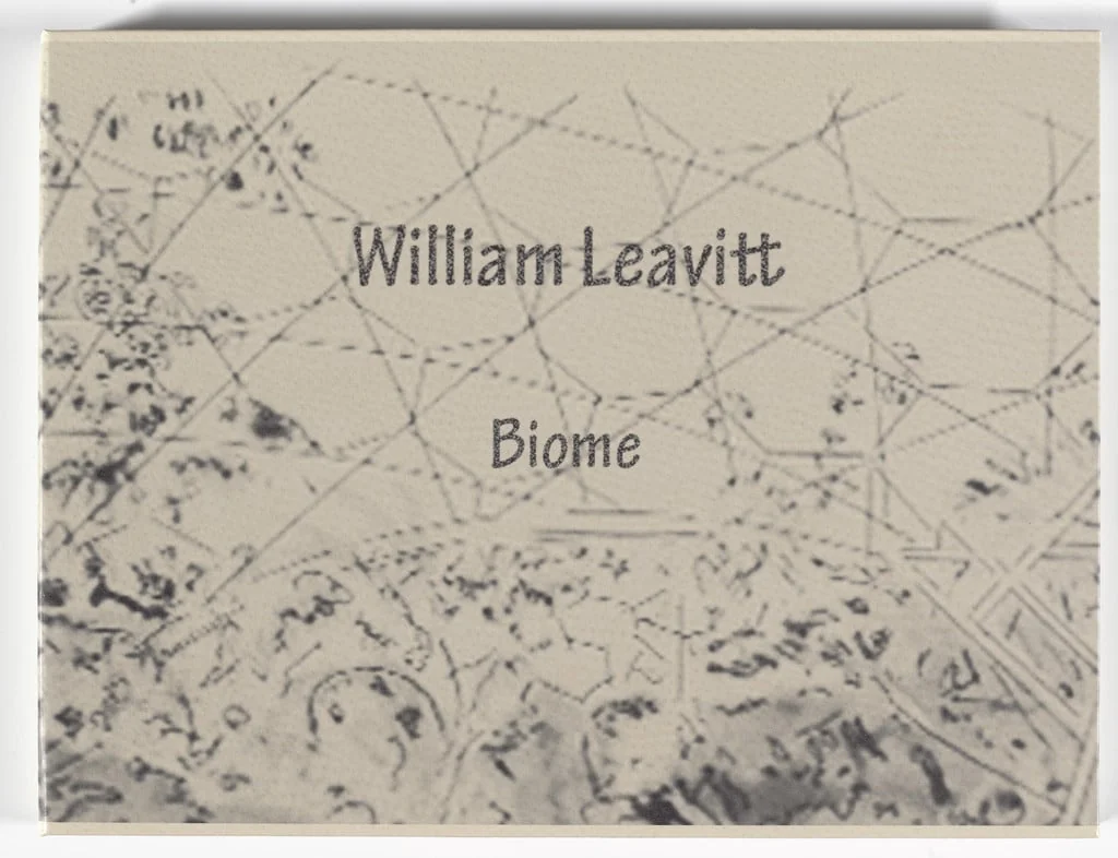 Untitled, detail