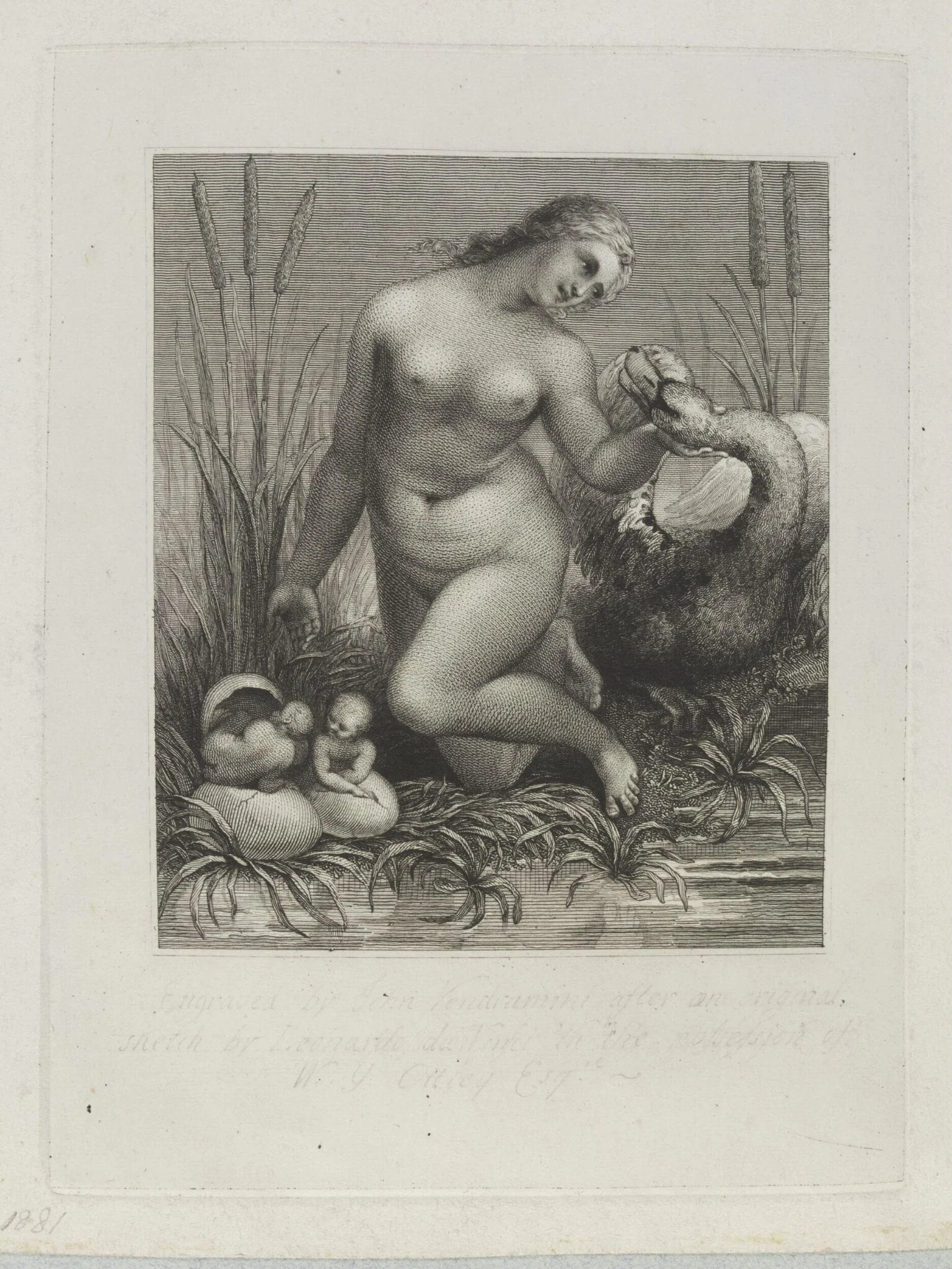 Leda, detail