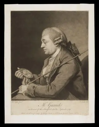H Beard Print Collection, by Benjamin van der Gucht, 24
