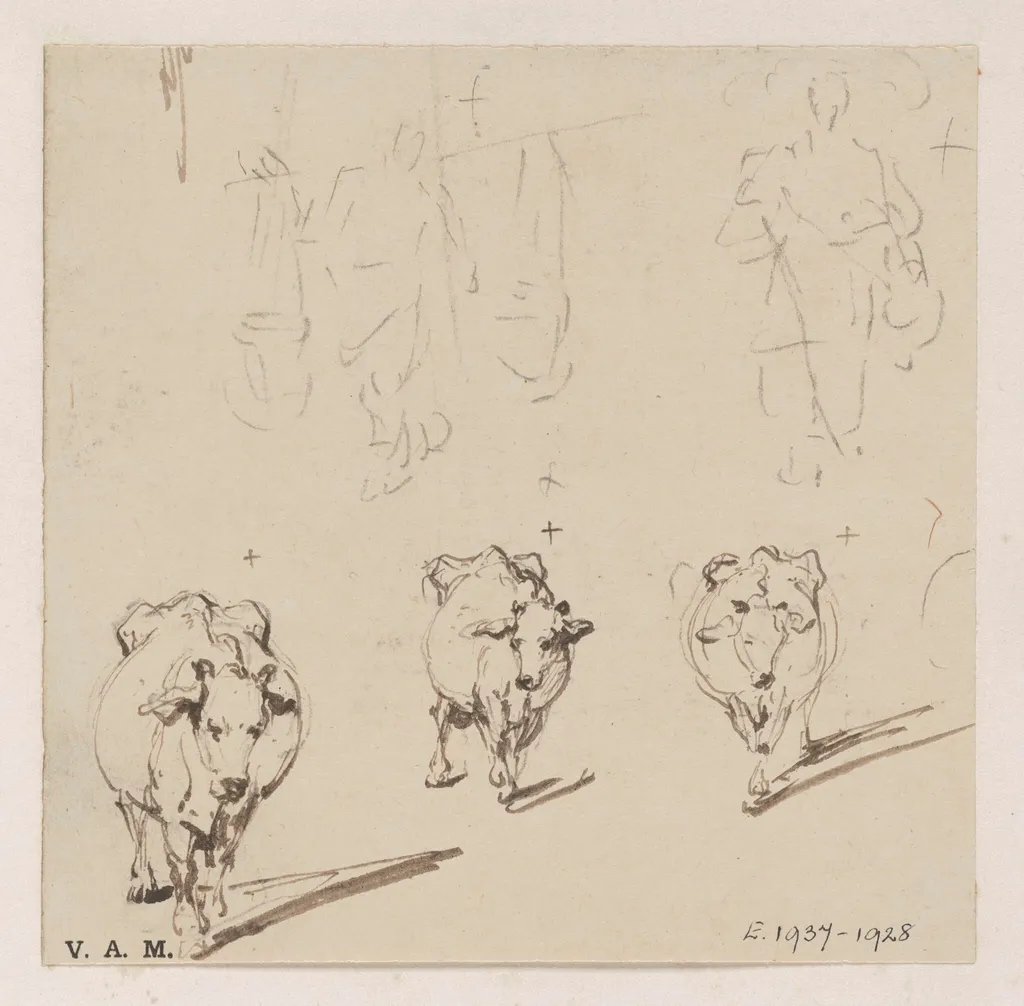 Three drawings of a cow, by George Chinnery, 19