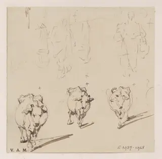 Three drawings of a cow, by George Chinnery, 19