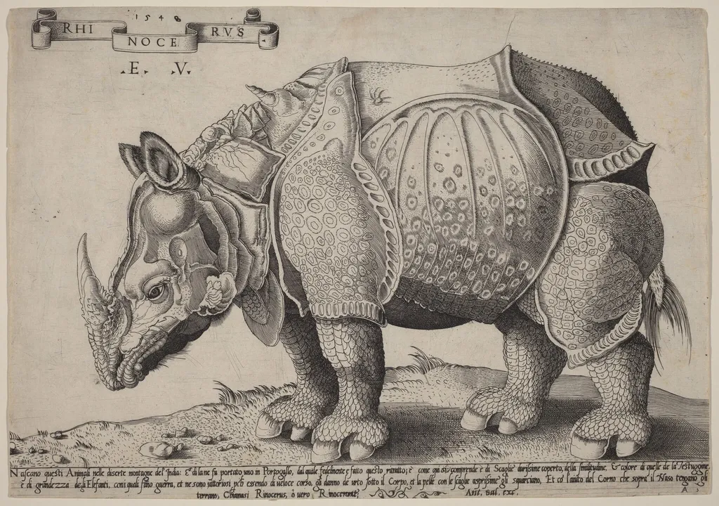 Rhinoceros, by Enea Vico, ink, 1548
