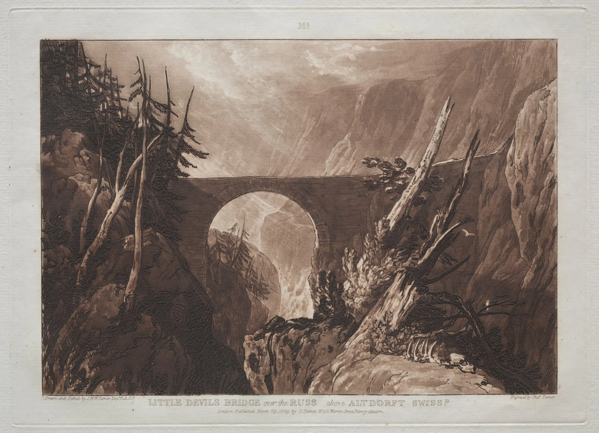 Liber Studiorum: Little Devil's Bridge over the Russ, above Altdorft, Swiss, detail