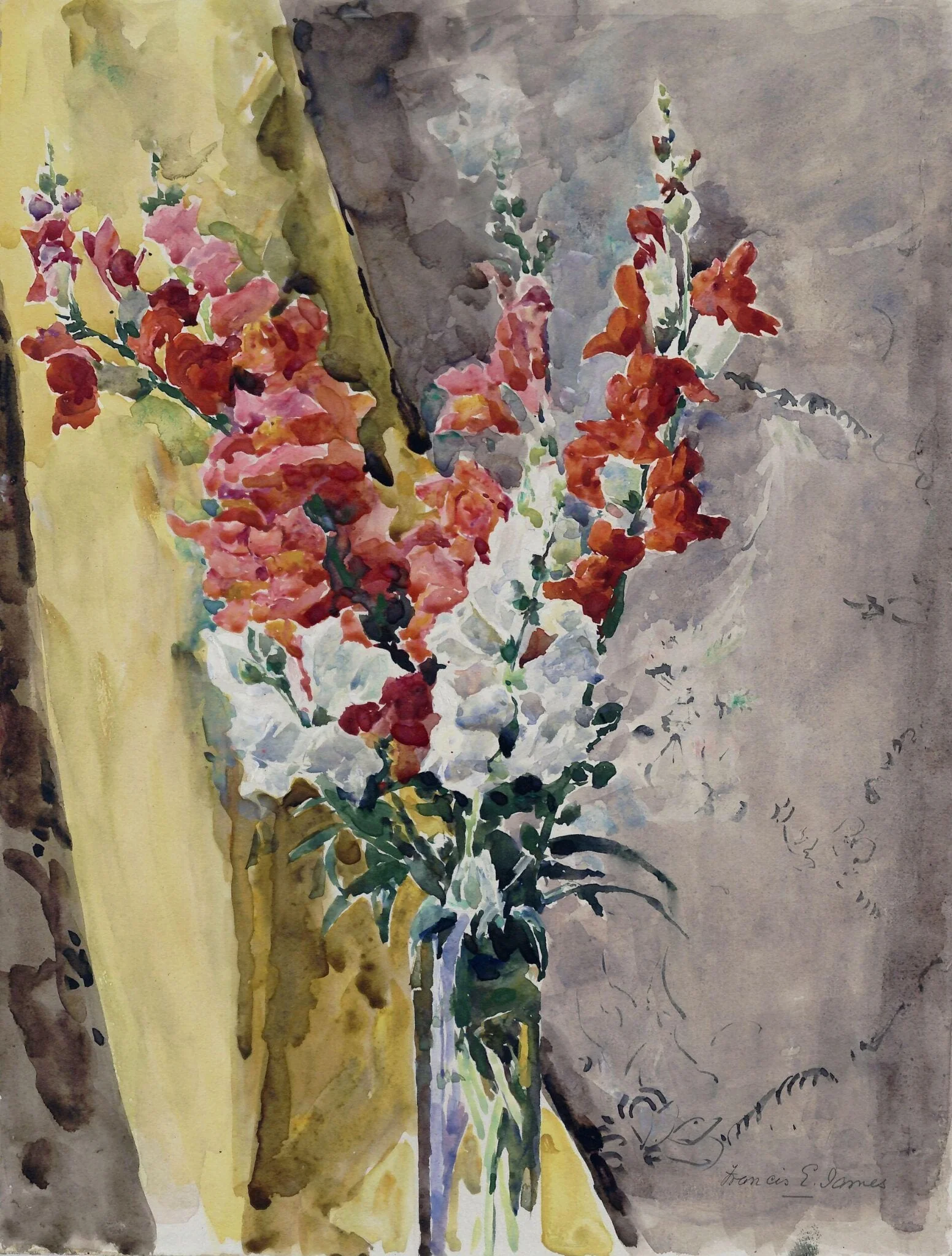 Antirrhiniums by a Yellow Curtain, detail