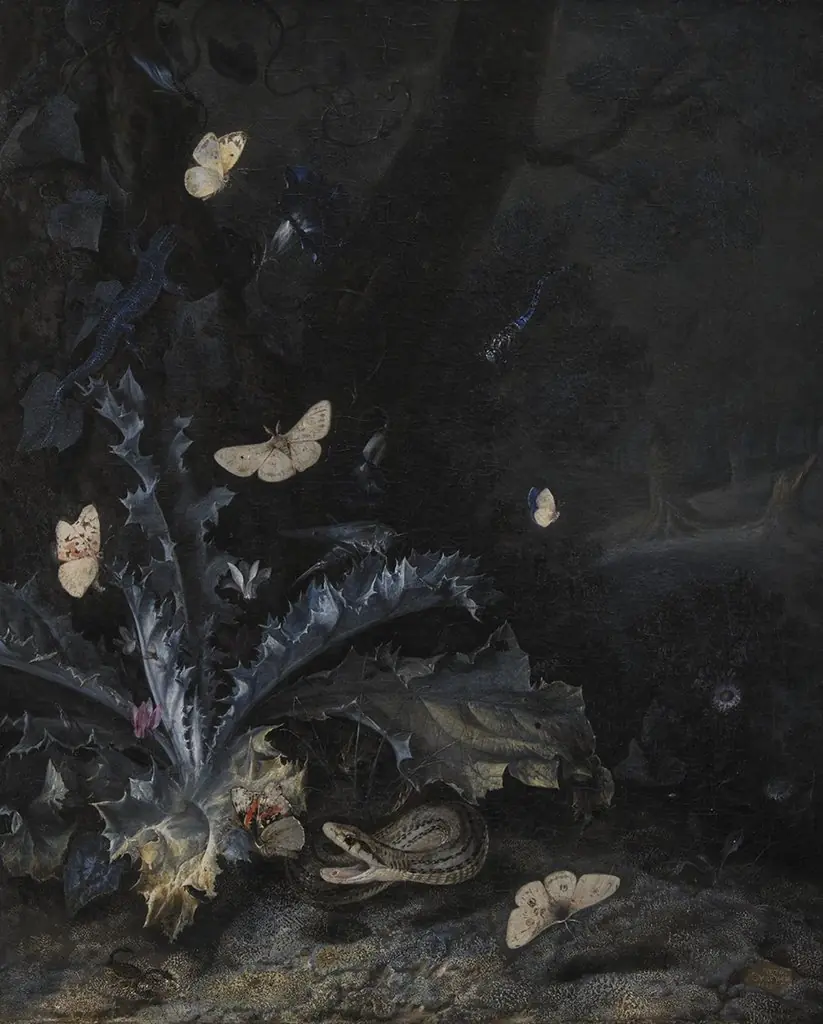 Still Life with Thistle and Snake, by Otto Marseus van Schrieck, oil, 1663
