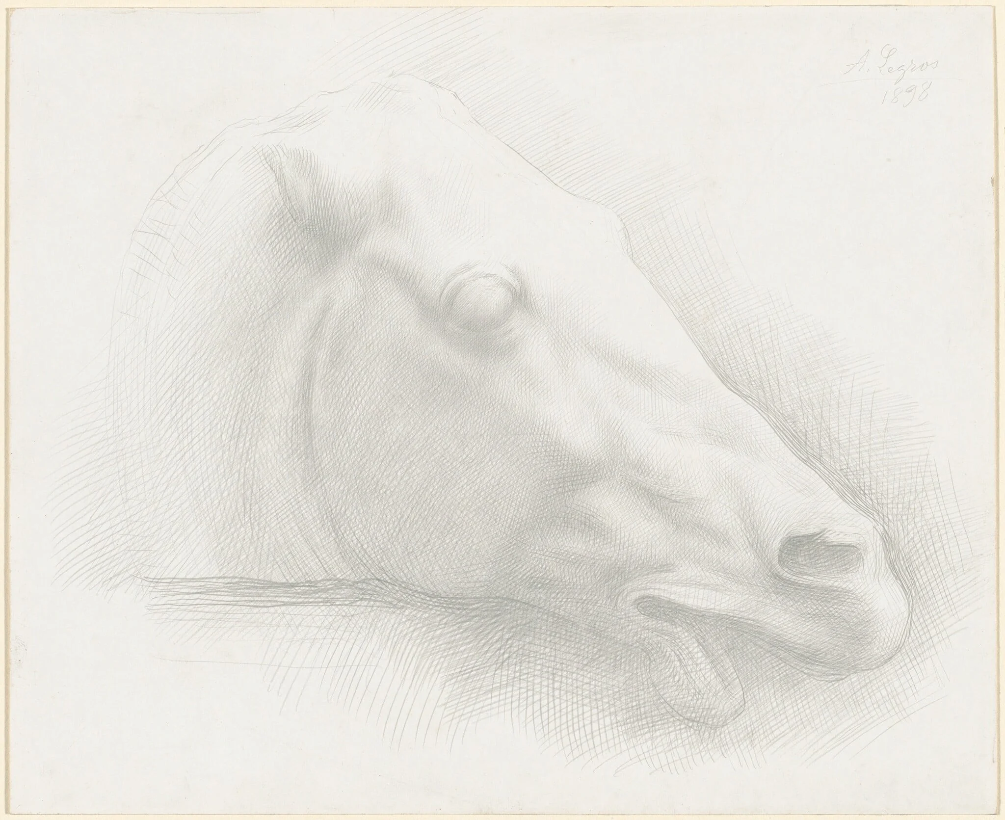 Head of a Horse from the Parthenon, detail