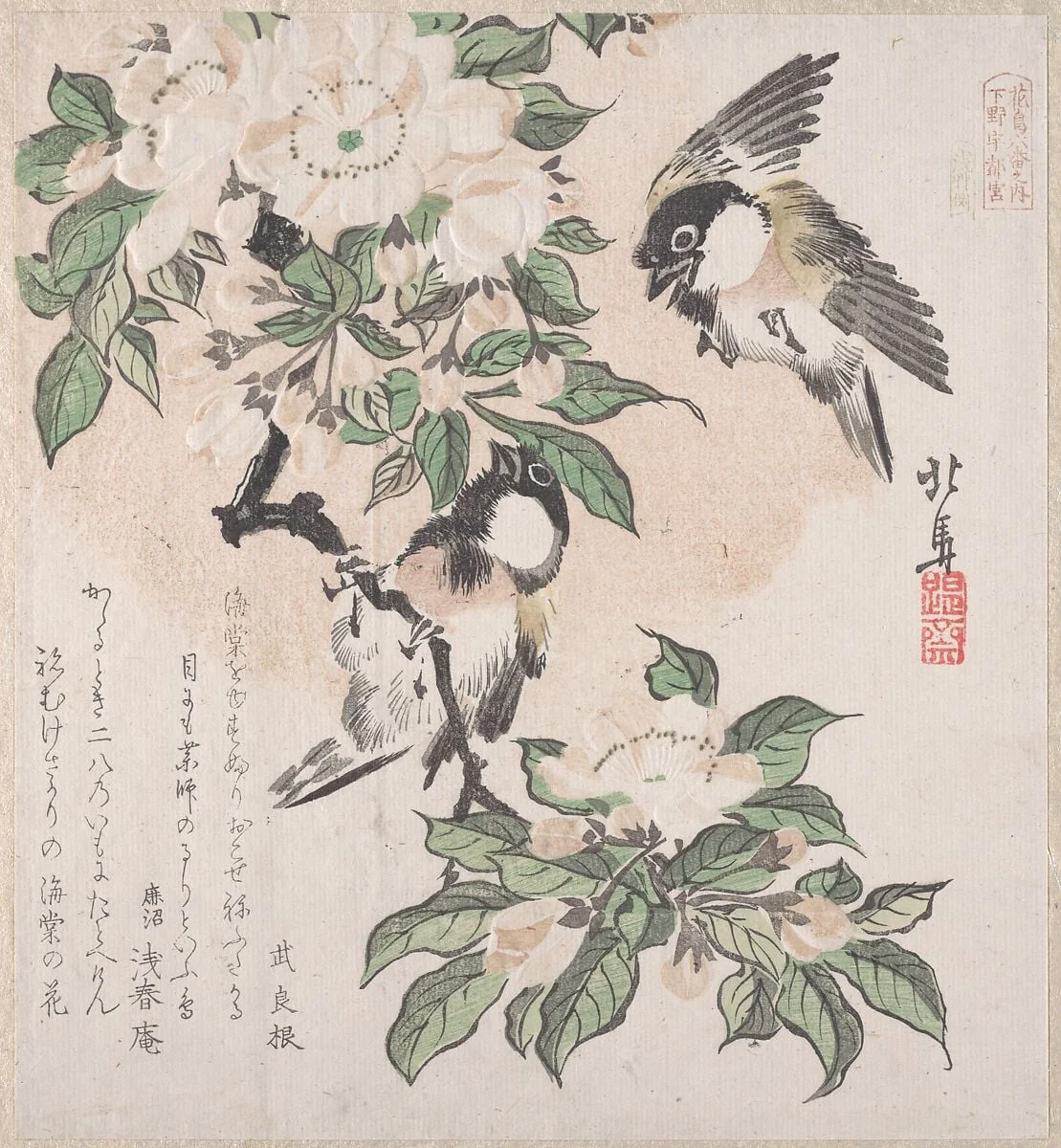 摺物帖 『春雨集』 『花鳥六番之内 下野宇都宮』 海棠に山雀|Spring Rain Collection (Harusame shū), vol. 3: Marsh-tits and Crab Apple Flowers, detail