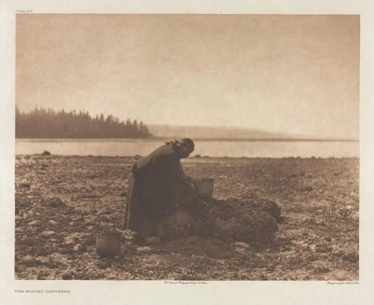 Portfolio IX, Plate 313: The Mussel Gatherer, detail